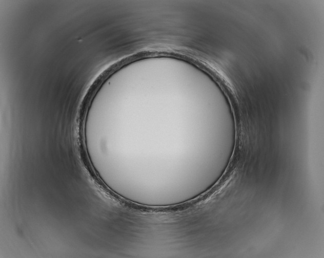 X0000111860976200907231127