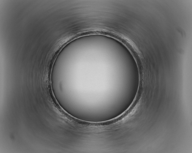 X0000111860977200907231127