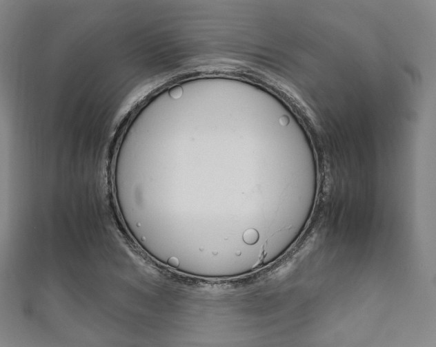 X0000111860978200907231127