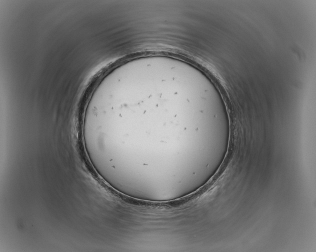 X0000111860979200907231127
