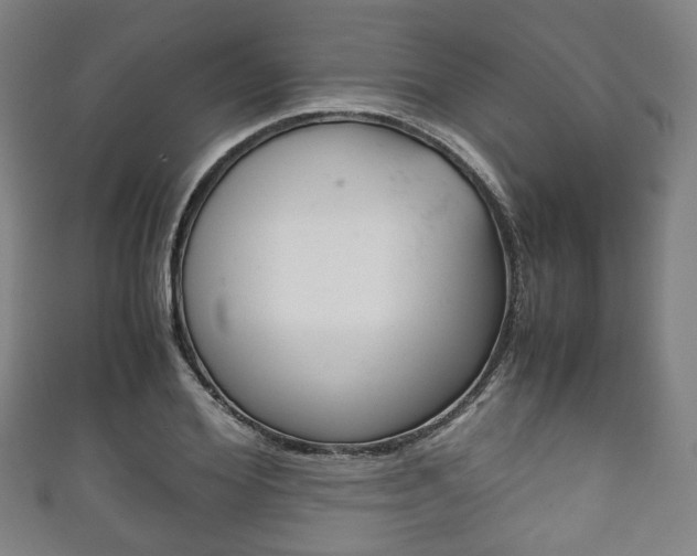 X0000111860980200907231127