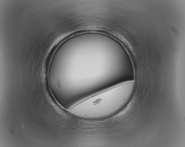 X0000111860981200907231127