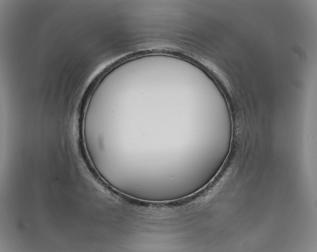 X0000111860983200907231127