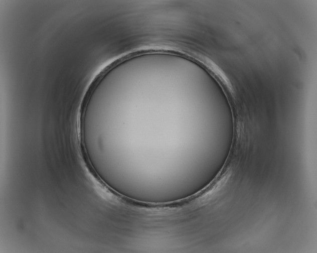 X0000111860988200907231127
