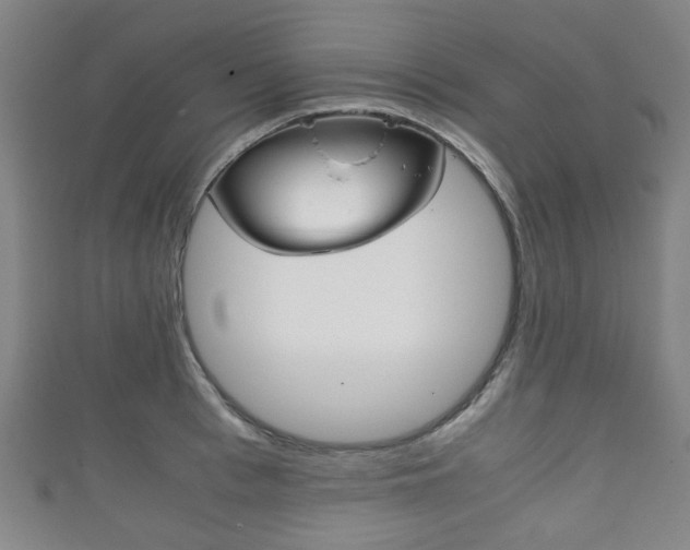X0000111860993200907231127