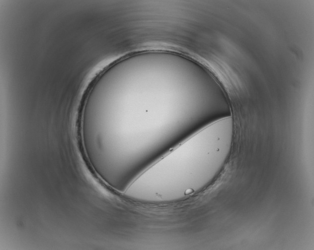 X0000111860995200907231127