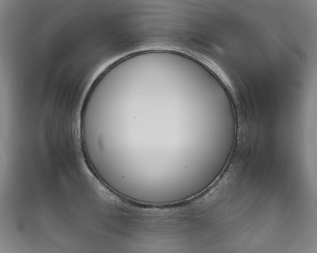 X0000111860996200907231127