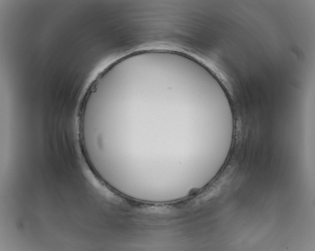 X0000111860998200907231127