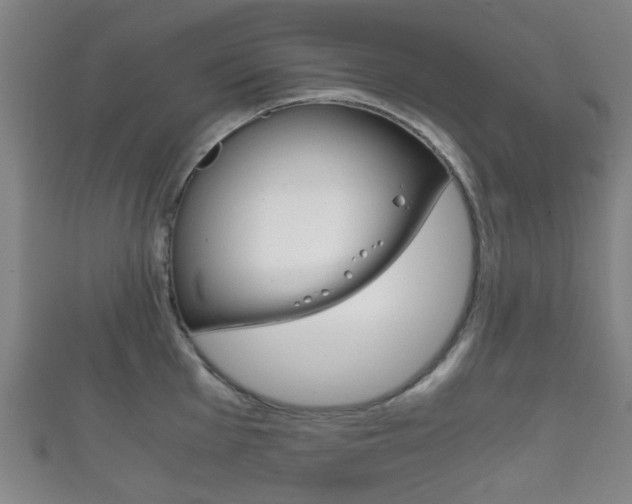 X0000111861001200907231127