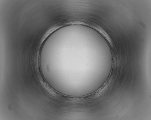 X0000111861002200907231127