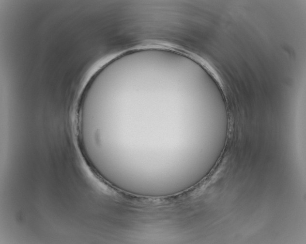 X0000111861003200907231127