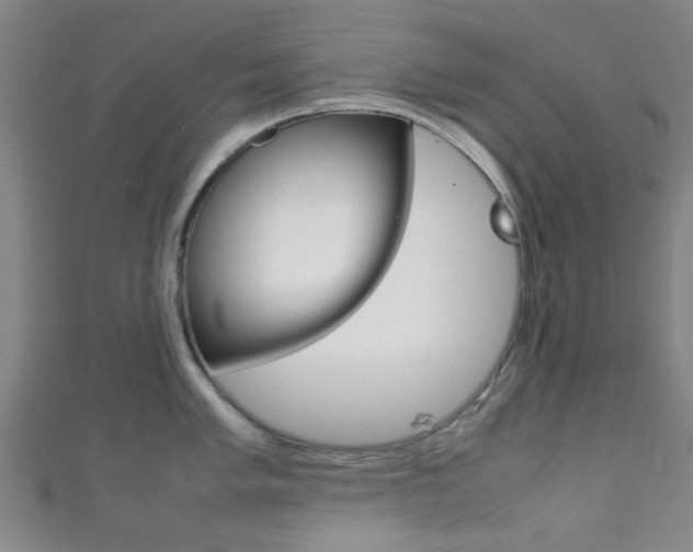 X0000111861005200907231127