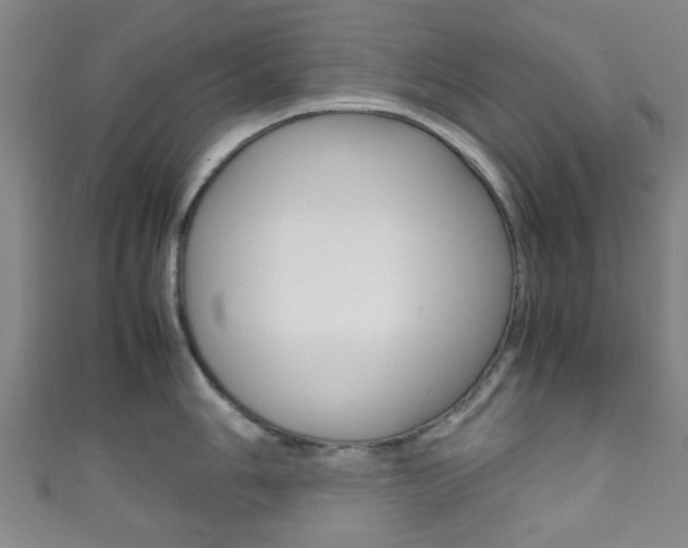X0000111861006200907231126