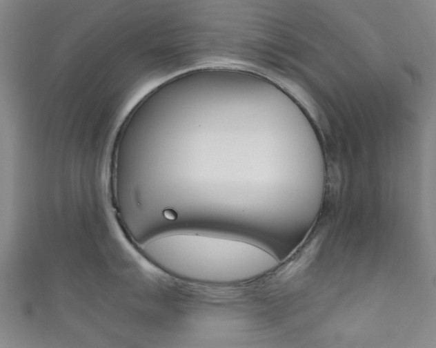 X0000111861007200907231126