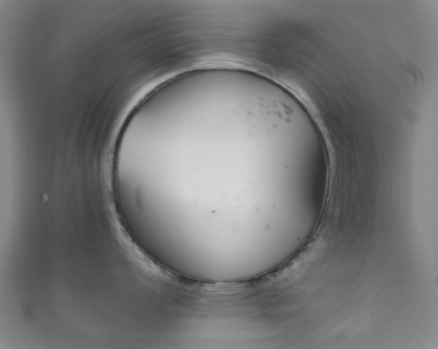 X0000111861008200907231126
