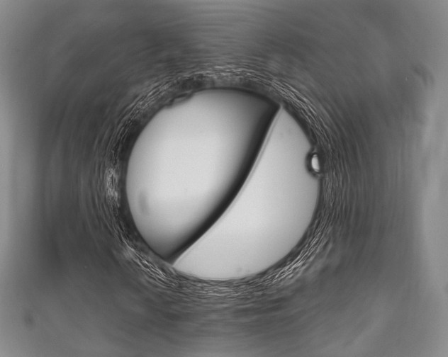 X0000111861010200907231126