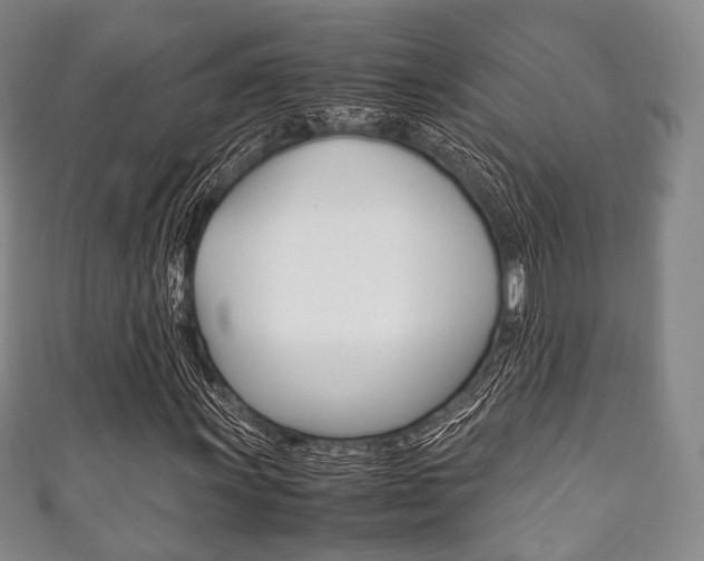 X0000111861011200907231126