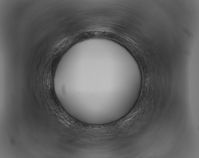 X0000111861014200907231126