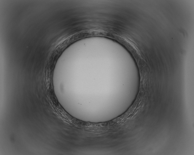 X0000111861015200907231126