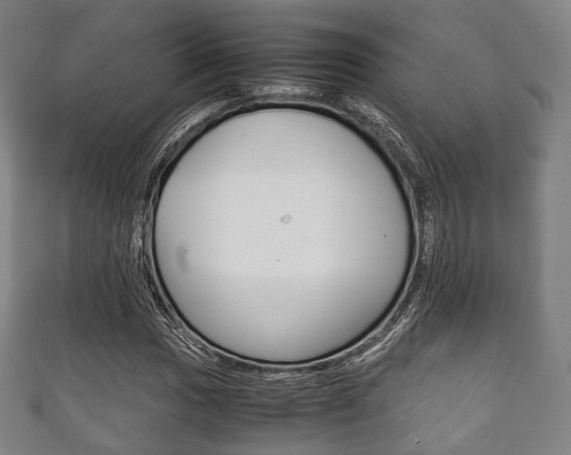 X0000111861017200907231126