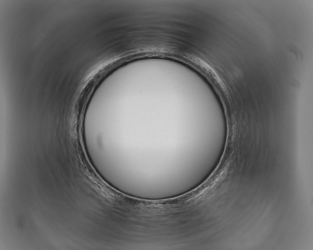 X0000111861019200907231126