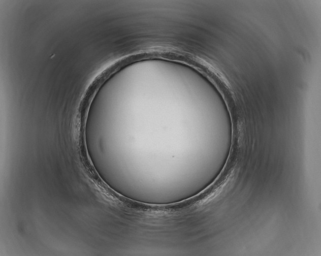 X0000111861021200907231126
