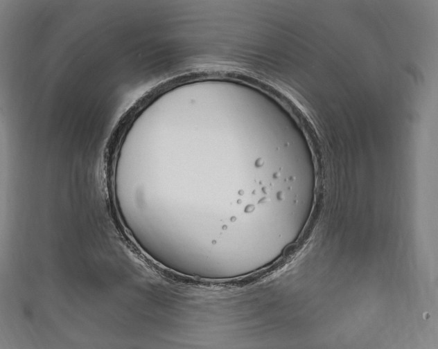 X0000111861022200907231126