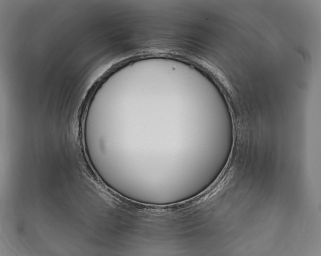 X0000111861023200907231126
