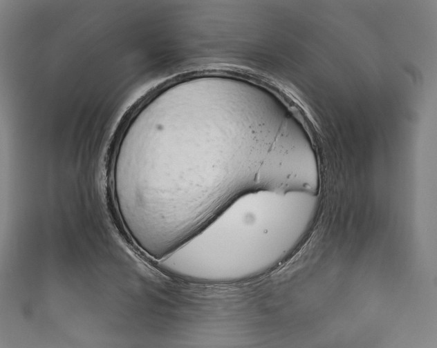X0000111861024200907231126