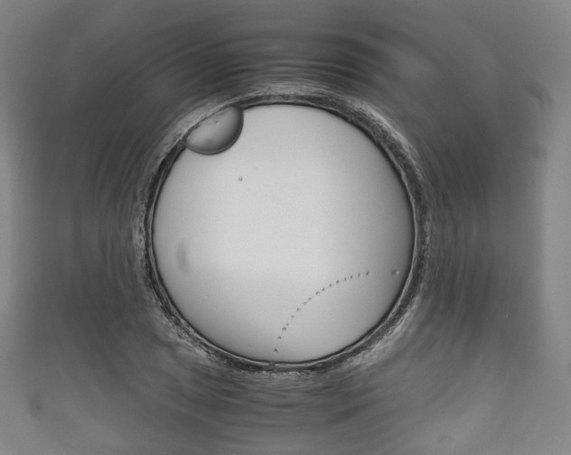 X0000111861025200907231126