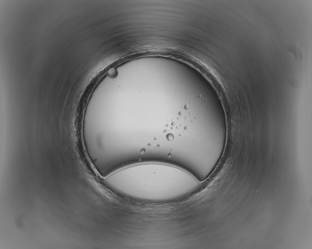 X0000111861026200907231126