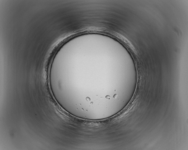 X0000111861027200907231126