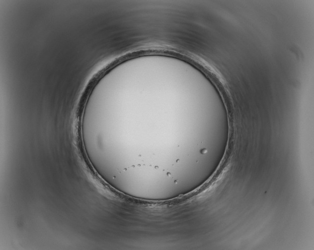 X0000111861029200907231126