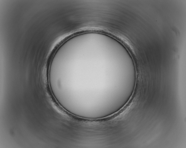 X0000111861030200907231126