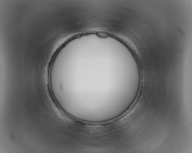 X0000111861031200907231126