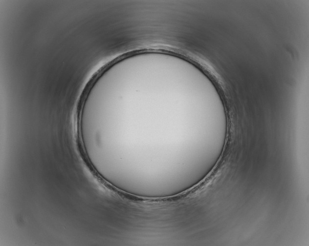 X0000111861032200907231126