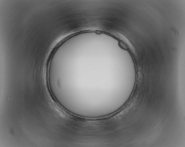 X0000111861035200907231126