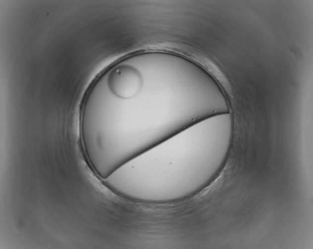 X0000111861036200907231126