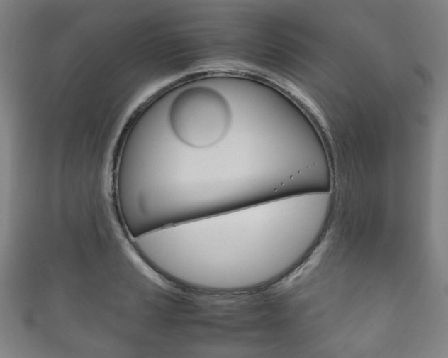 X0000111861037200907231126