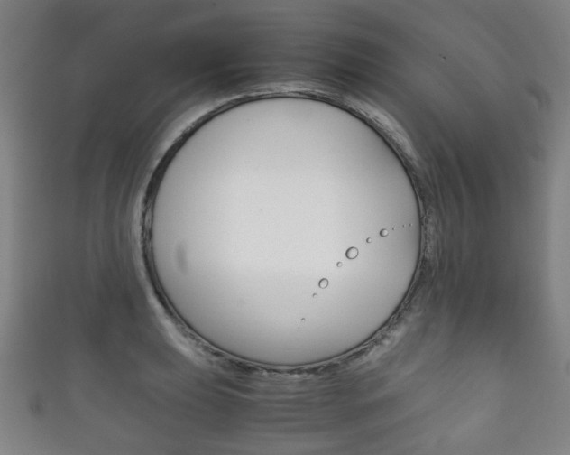 X0000111861039200907231126
