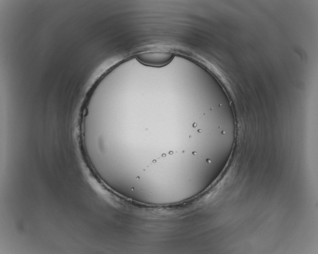 X0000111861042200907231126