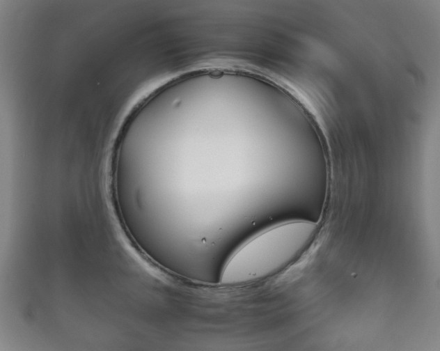 X0000111861045200907231126