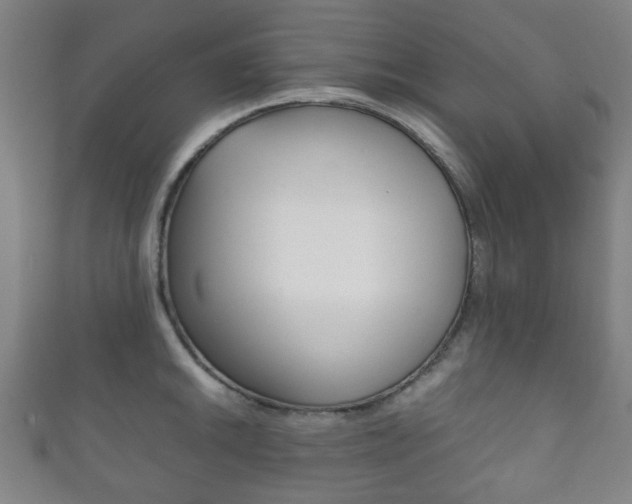 X0000111861046200907231126