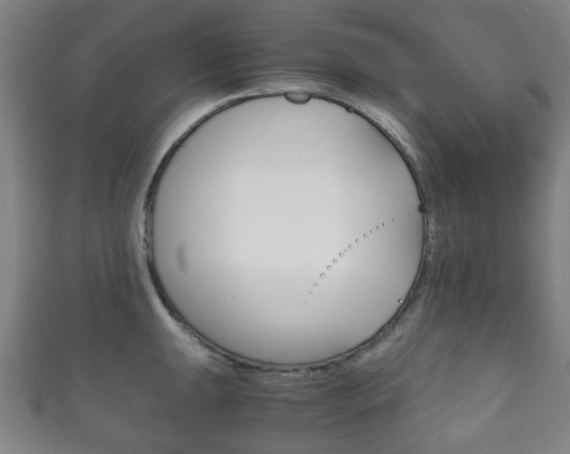 X0000111861047200907231126