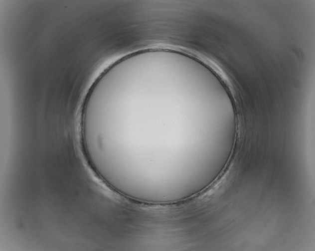 X0000111861048200907231126