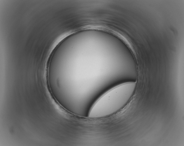 X0000111861050200907231126