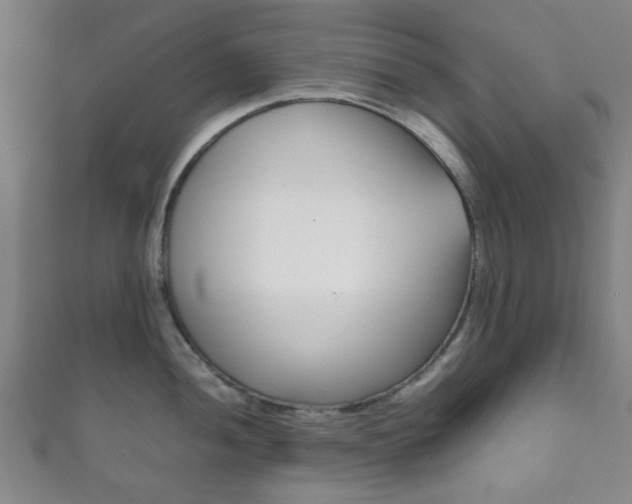 X0000111861052200907231126