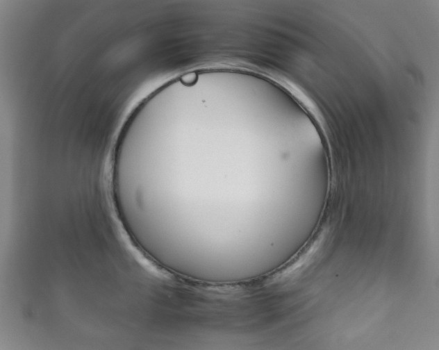 X0000111861053200907231126