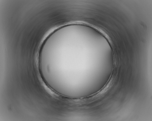 X0000111861054200907231126
