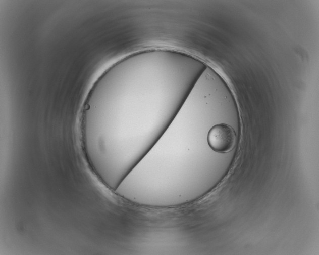 X0000111861056200907231126